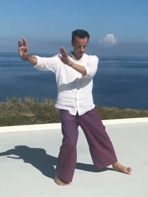LEZIONE INDIVIDUALE DI TAI CHI - QI GONG